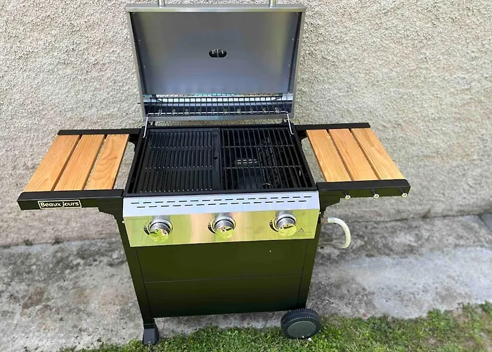 La Bellevue, 15 Mn De Toulouse, Wifi, Barbecue